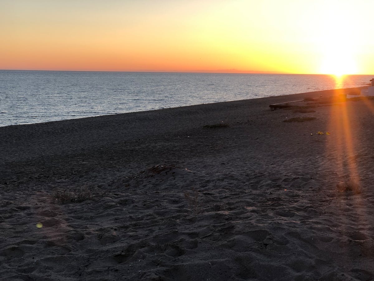 Imagen de tendencias en desarrollo web